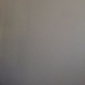 Meet your Posher, Phoebe